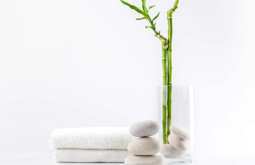 minimal havlu, tas ve bambu bitki gorsel