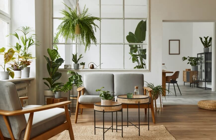 modern iskandinav ve japandi tarzi salonda ahsap iskeletli gri koltuk, yesil salon bitkileri