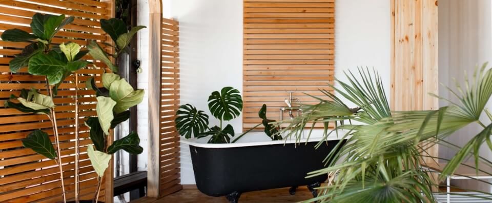 ahsap uygulamalar ve canli yesil bitkilerin yer aldigi naturel banyo mekaninda siyah ayakli kuvet gorseli