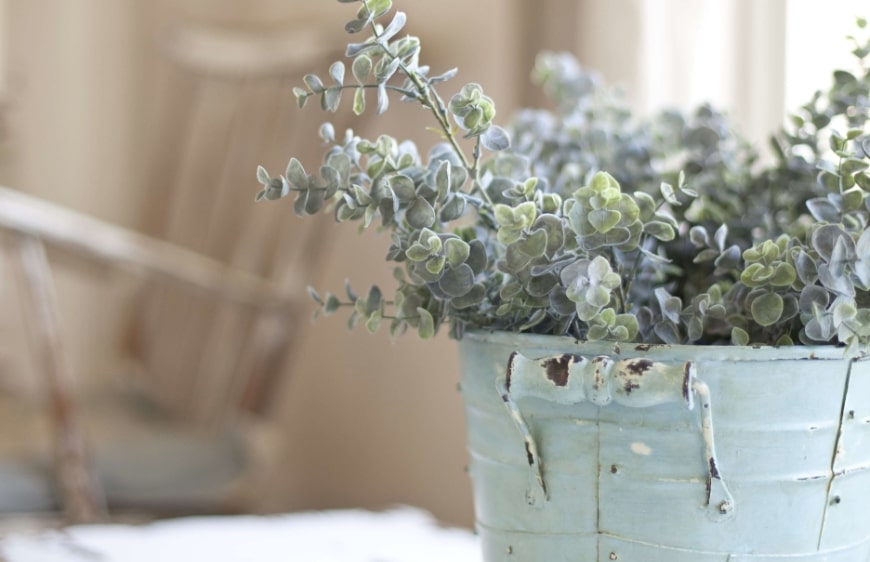 eskitilmis metal mavi saksi icerisinde kucuk ve cok yaprakli canli bitki