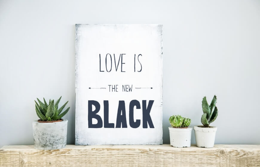 love is the new black yazili tablo ve sukulentler