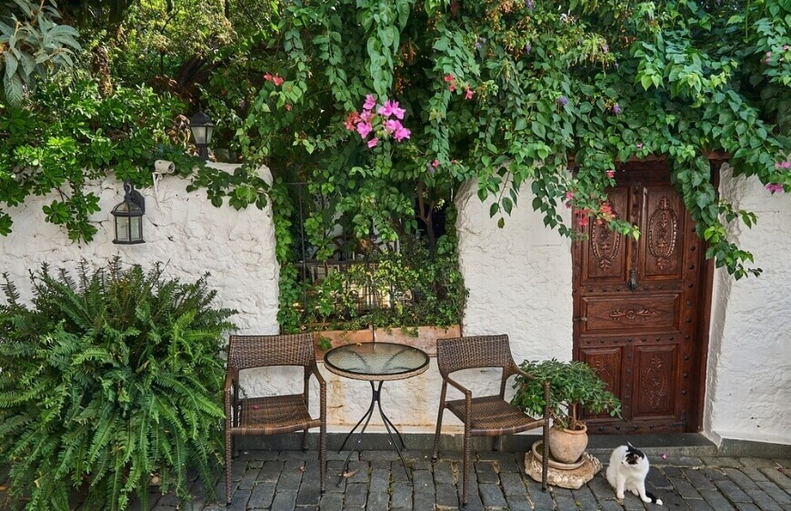 kedi günesli bir yaz gununde Kas (Andifli) sokaklarinda geleneksel bir kapinin ve Pembe begonvil spectabilis (buyuk begonvil) yaninda dinleniyor, Antalya, Turkiye
