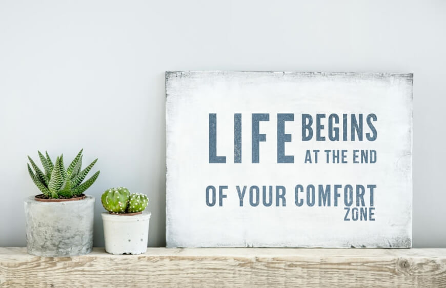 life begins at the end of your comfort zone yazili dekoratif tas ve sukulentler